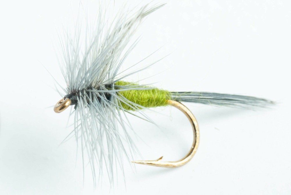 Blue-winged Olive (BWO) Dry Fly - 6 Pack