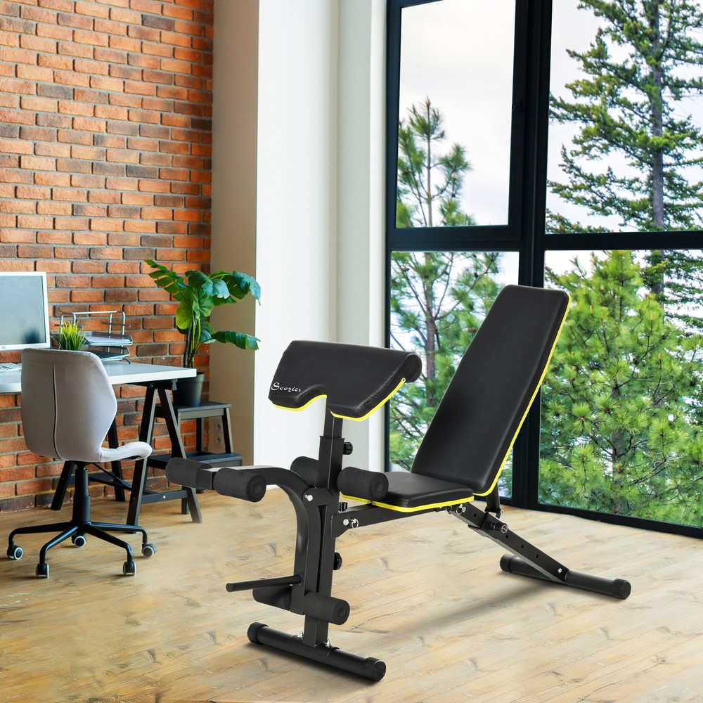 Multi-Functional Sit-Up Dumbbell Bench Adjustable Seat and Back Angle