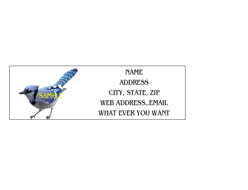 BLUE JAY ADDRESS LABELS COOL!!! #1