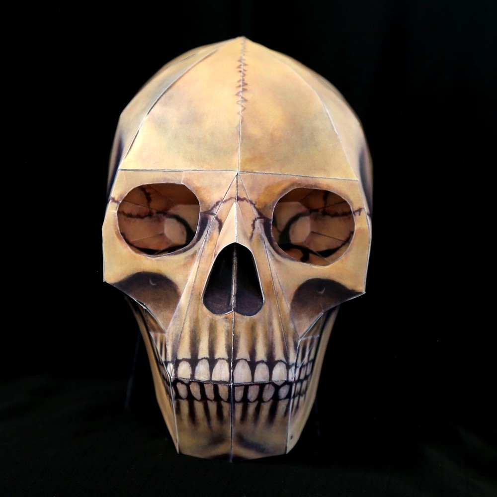 Human Skull paper model