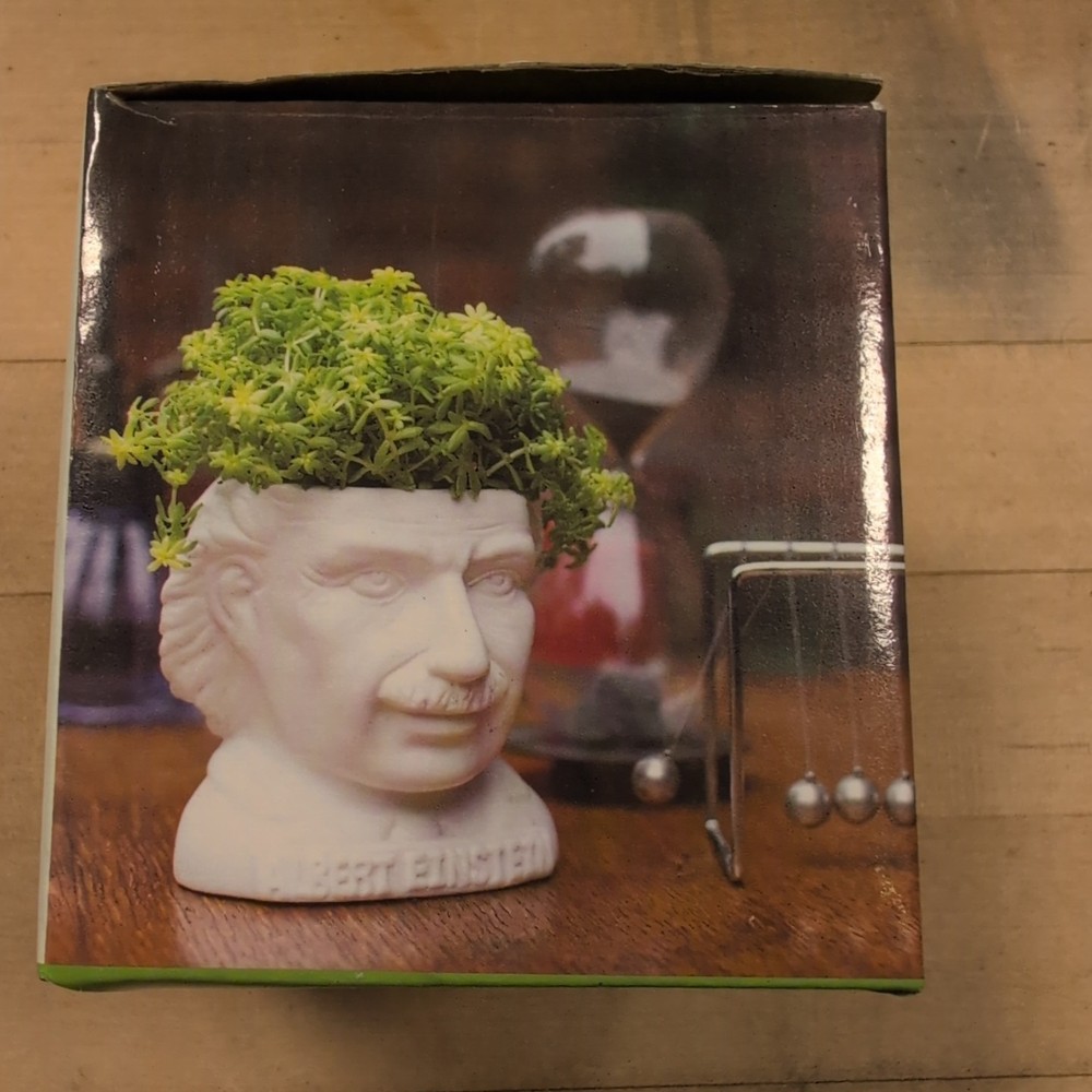 Fertile Minds Albert Einstein Ceramic Planter Pot New Open Box