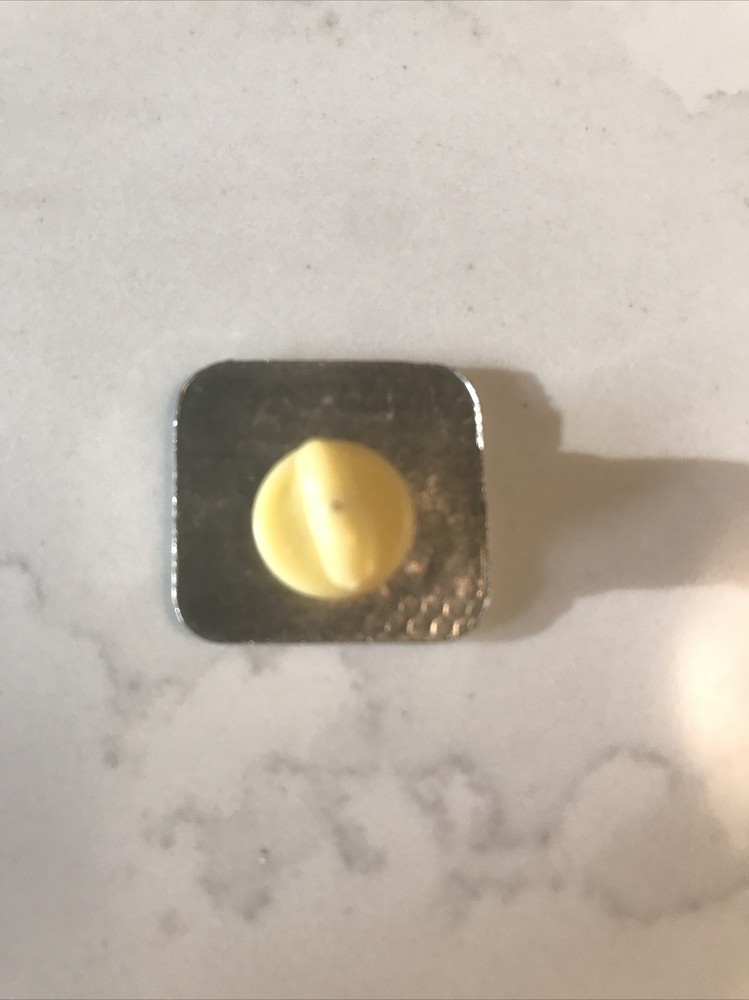 Texas State USA Lapel Pin