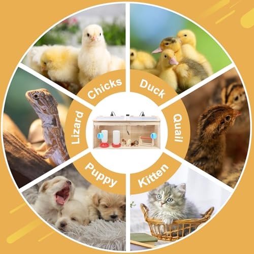 Chick Brooder Box Chick Starter Kit,Large Wooden Brooder Box for Chicks with