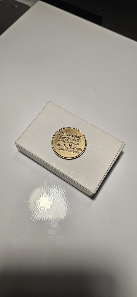 Serenity Recovery Program Token Bronze Peace Within the Storm