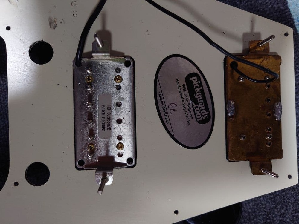 Burny Flying V Guitar