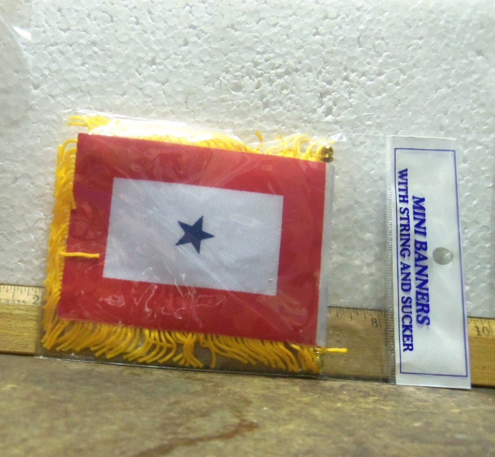 Blue Star Service Mini Banner