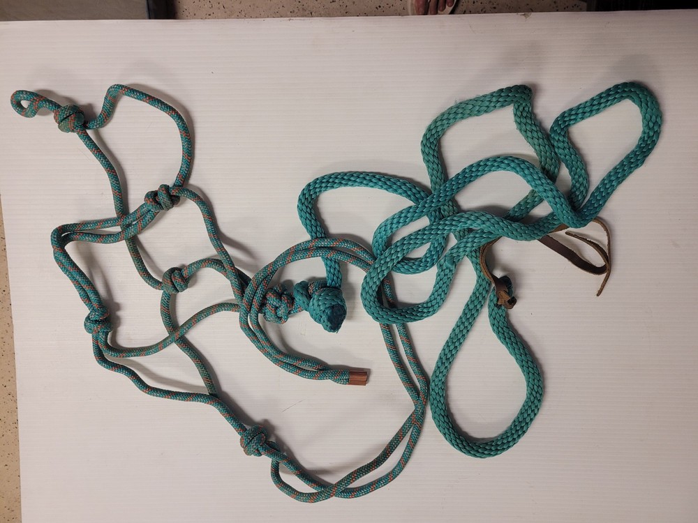 ROPE HALTER WITH 9' LEAD TEAL