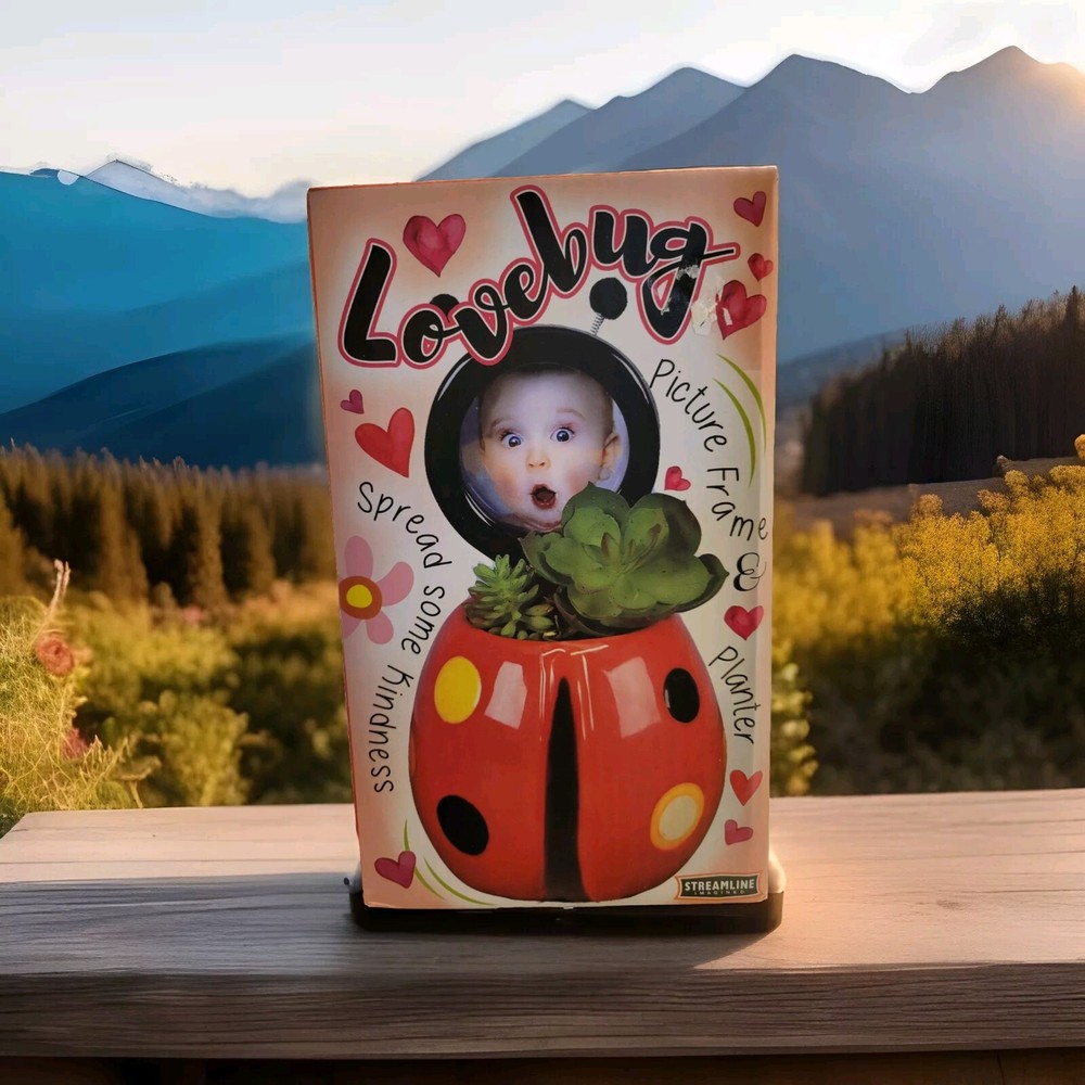 Love Bug Succulents Planter Red Heart