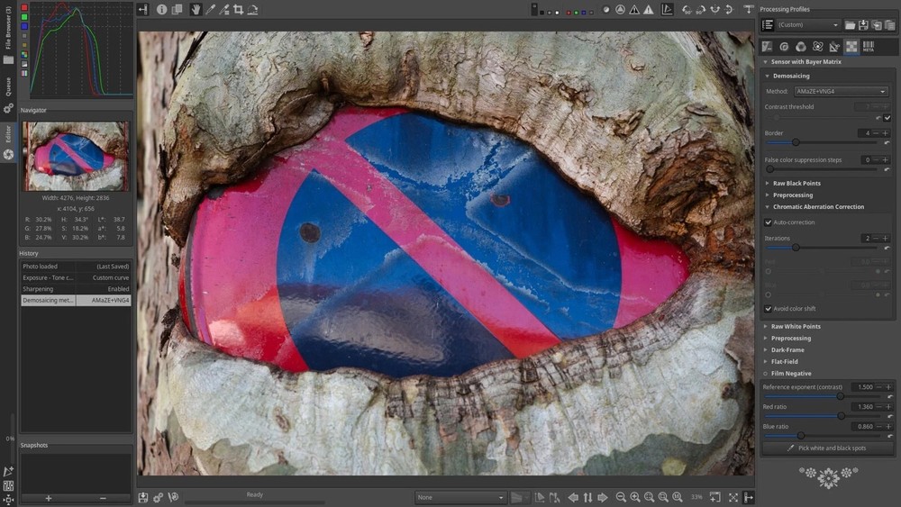 Raw Therapee Photo Editing Software 2026, RAW Image Editor for Windows USB