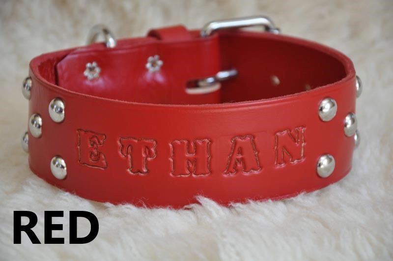 Leather Dog Custom Collar Personalized Free 2" WIDE Custom Quality Leather
