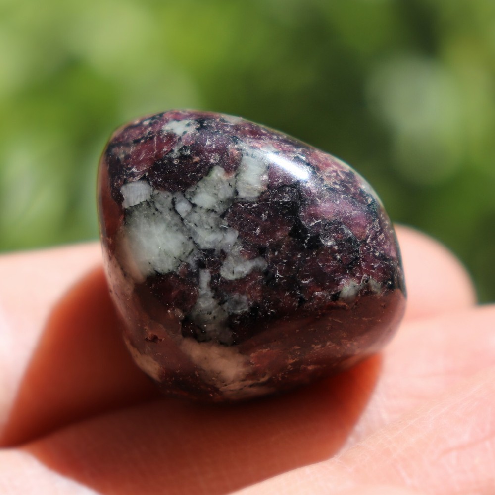 Polished Eudialyte, Fluorescent Mineral (EUD21)