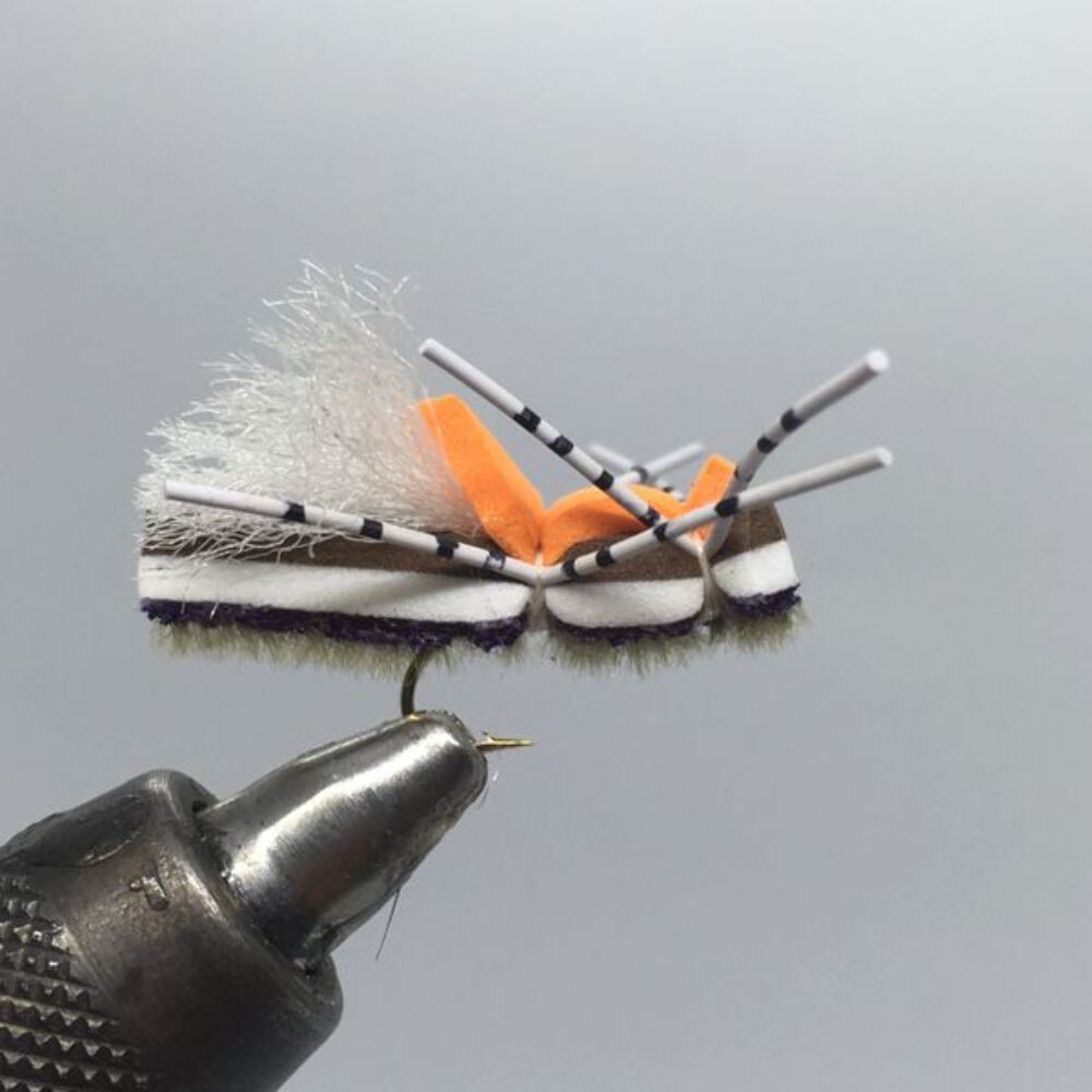 One Dozen (12) - Fat Frank - Grape - Terrestrial