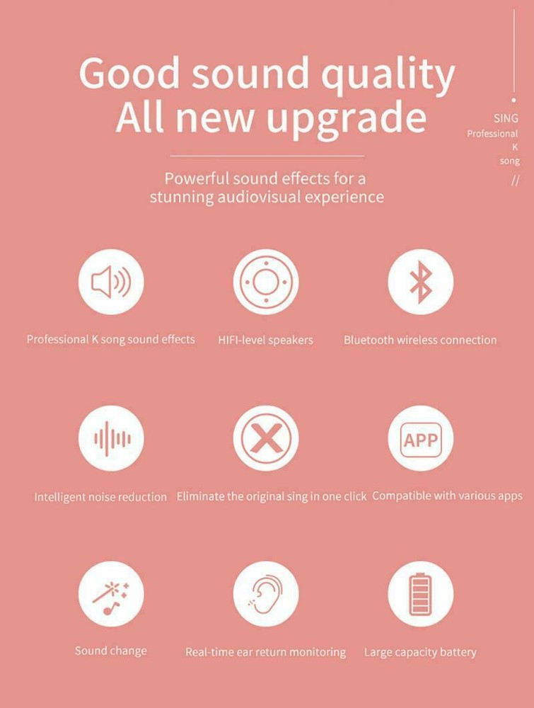 WIRELESS HANDHELD KARAOKE MICROPHONE HIFI SPEAKER SILVER DS868