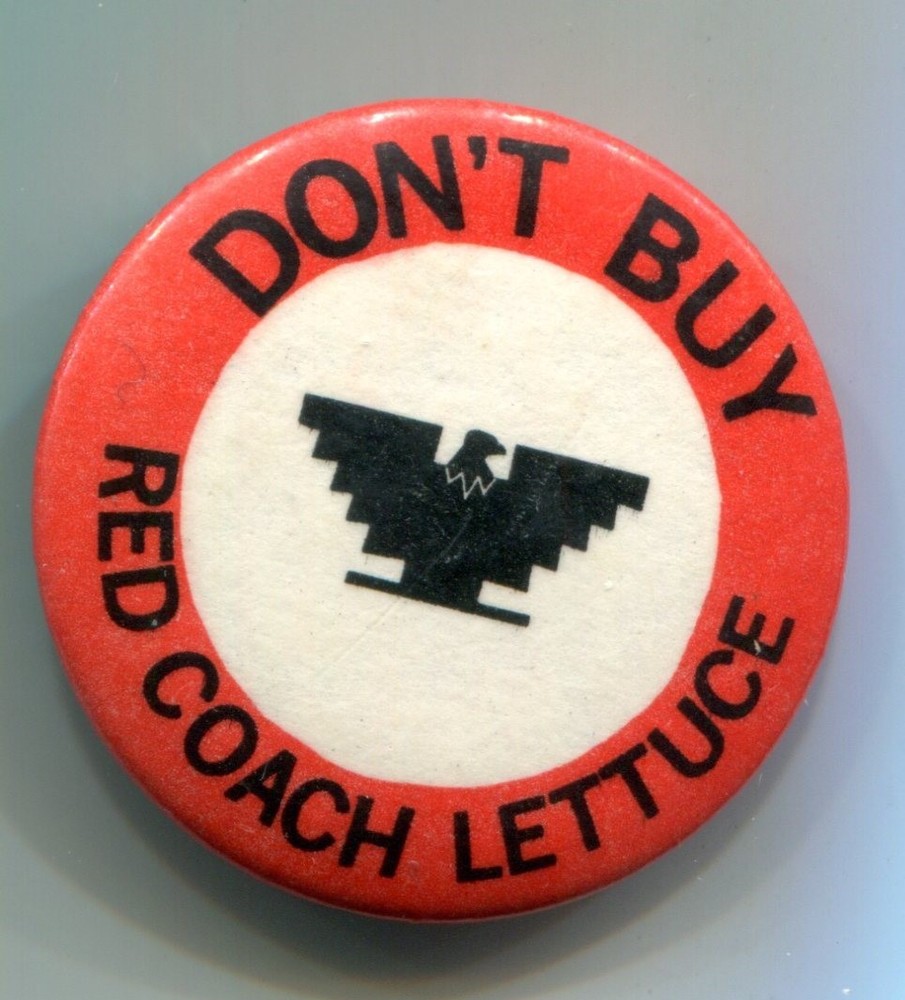 Boycott Red Coach Lettuce,  Pinback Button