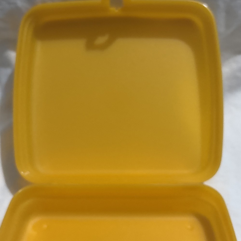 Tupperware Sandwich Keeper Orange 8203A-4 EUC