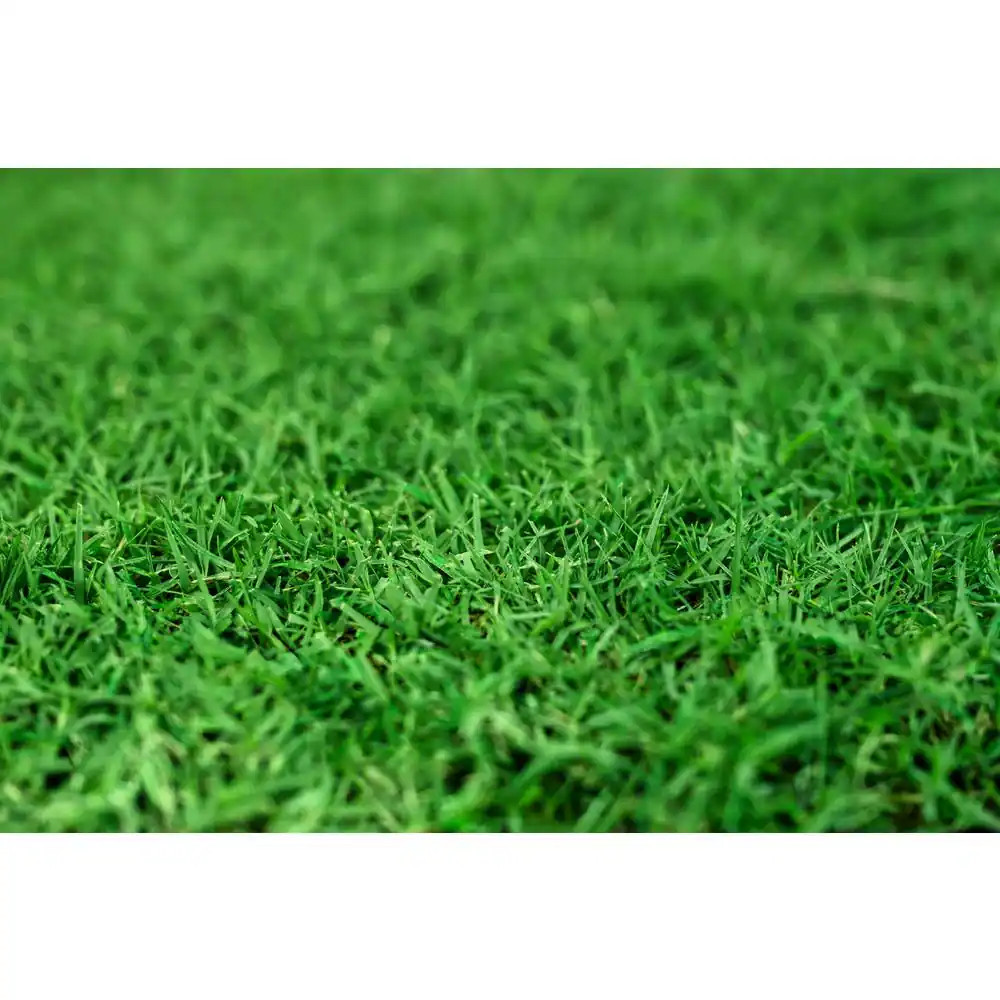 Gotta Go Grass Potty Pad Refill plus Waste Bag Dispenser (2-Pack )