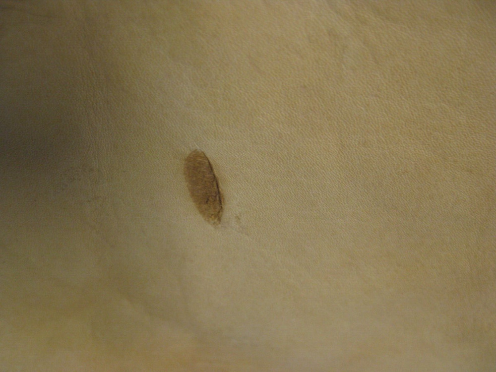 Cow Leather # 0016419 Row75