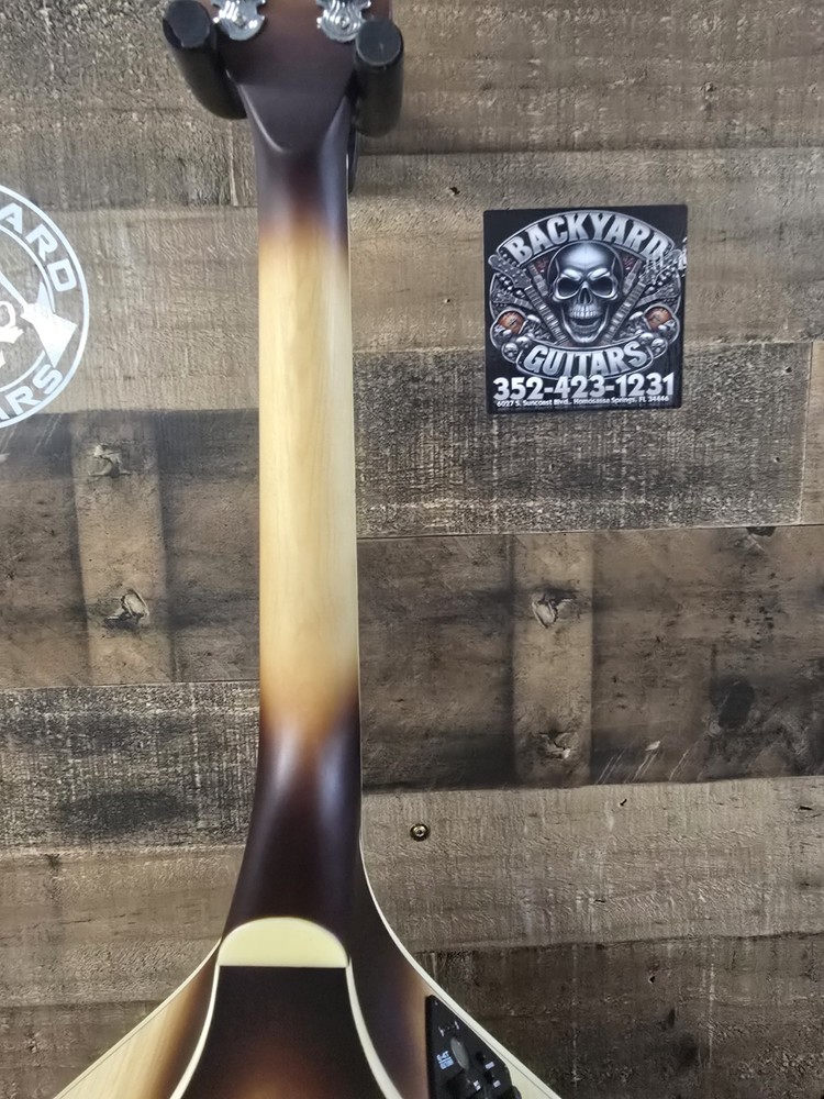 Mcneela ElectroMandolin Clean
