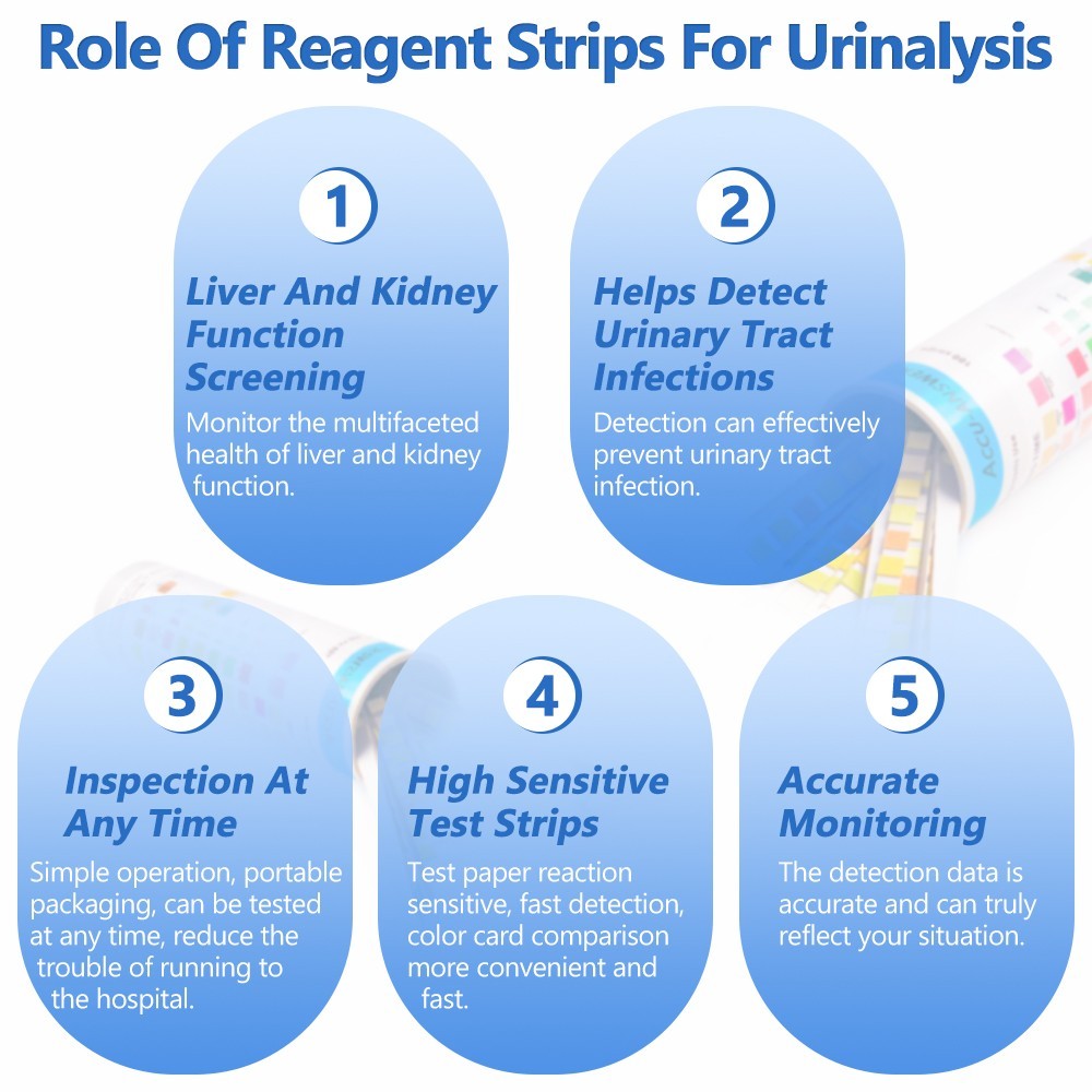 Professional Urinary Test Strips 10 Parameters - 100 Pieces CE Urine Test