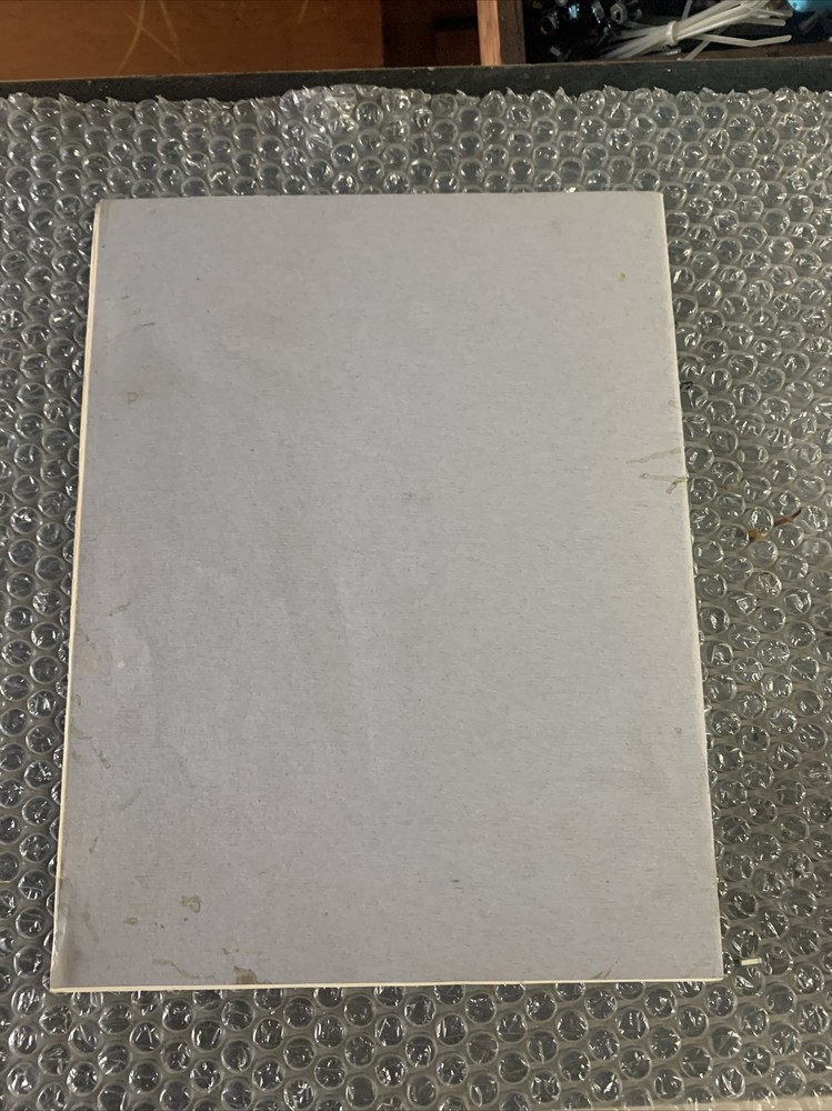 Original TOKI FABTEK arcade Video game manual