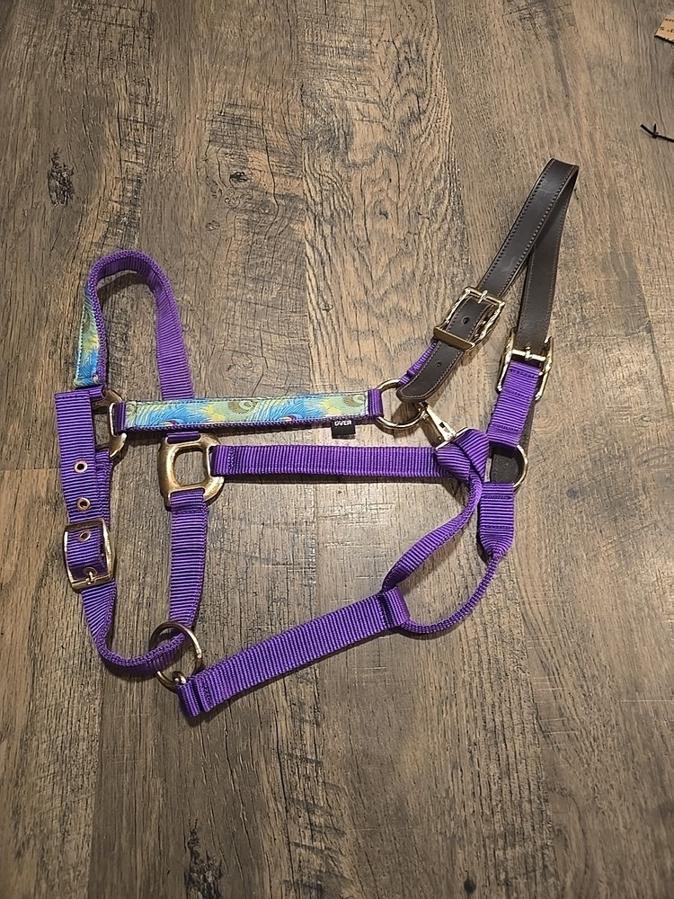 Horse Halter Oversize