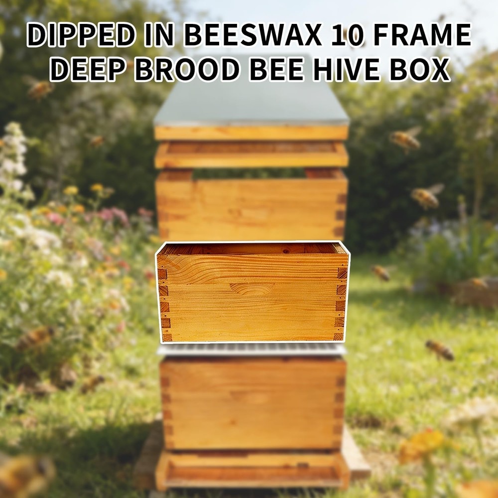 2 Pack 10 Frame Langstroth Deep Brood Beehive Box Beekeeping Supplies