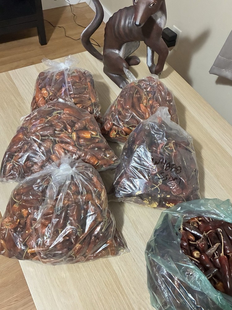 Chile Costeño Seco 1lb