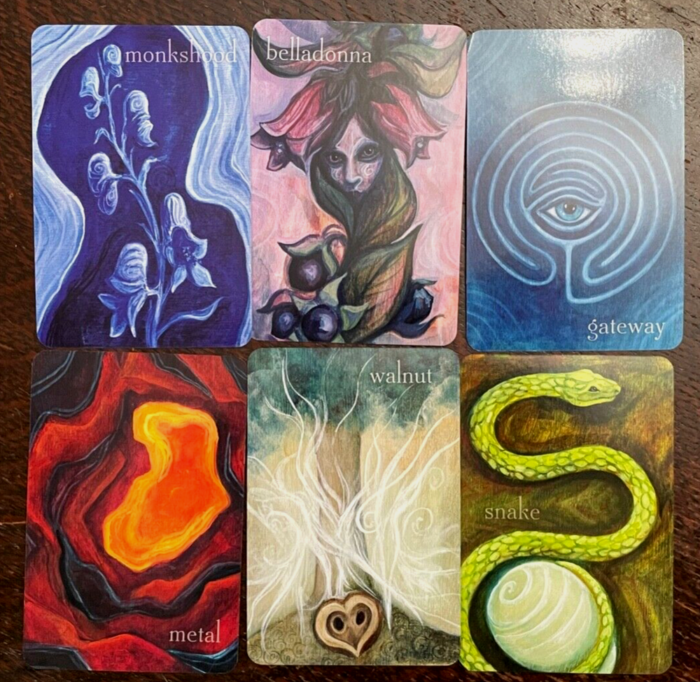 SIGNED - LIMINAL SPIRITS ORACLE - Zakaroff, 1st 2020 - TAROT DIVINATION UNUSED