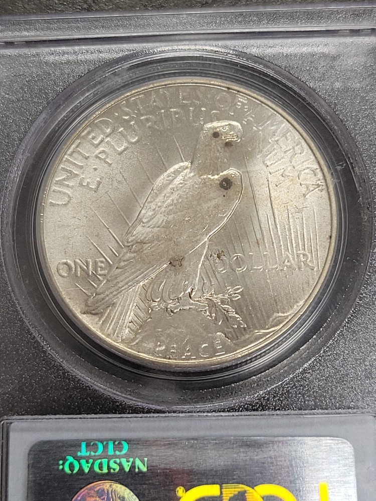 1934 90% Silver Peace Dollar MS-64 PCGS MS64 SPOTS ON REVERSE