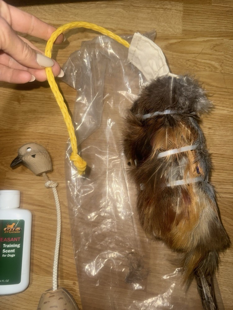 Sporting Dog Training Tools Pheasant Training Dummy Real Feathers, Scent & Dove
