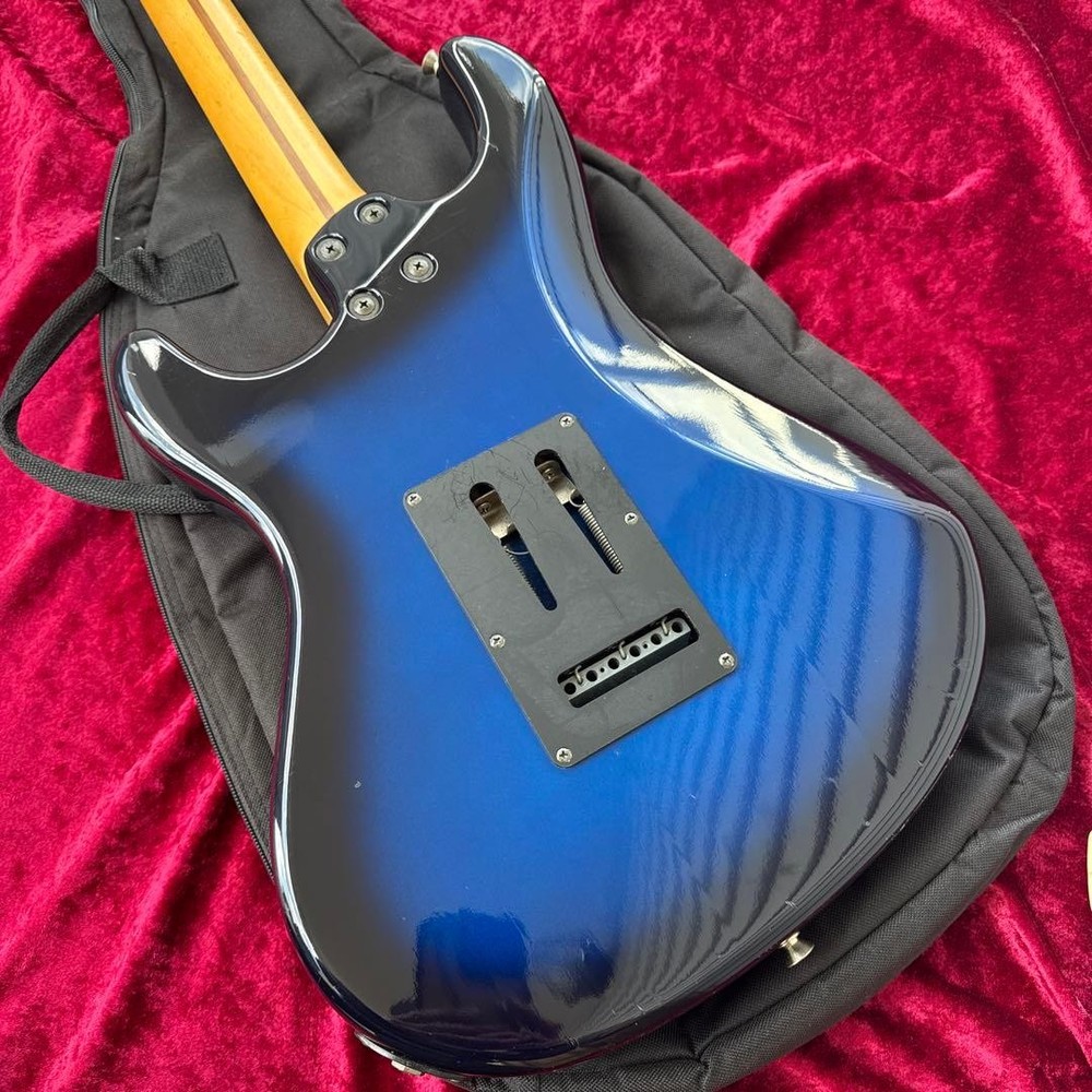 FERNANDES Japan APG-400 Single Ham Case Safe Packing!