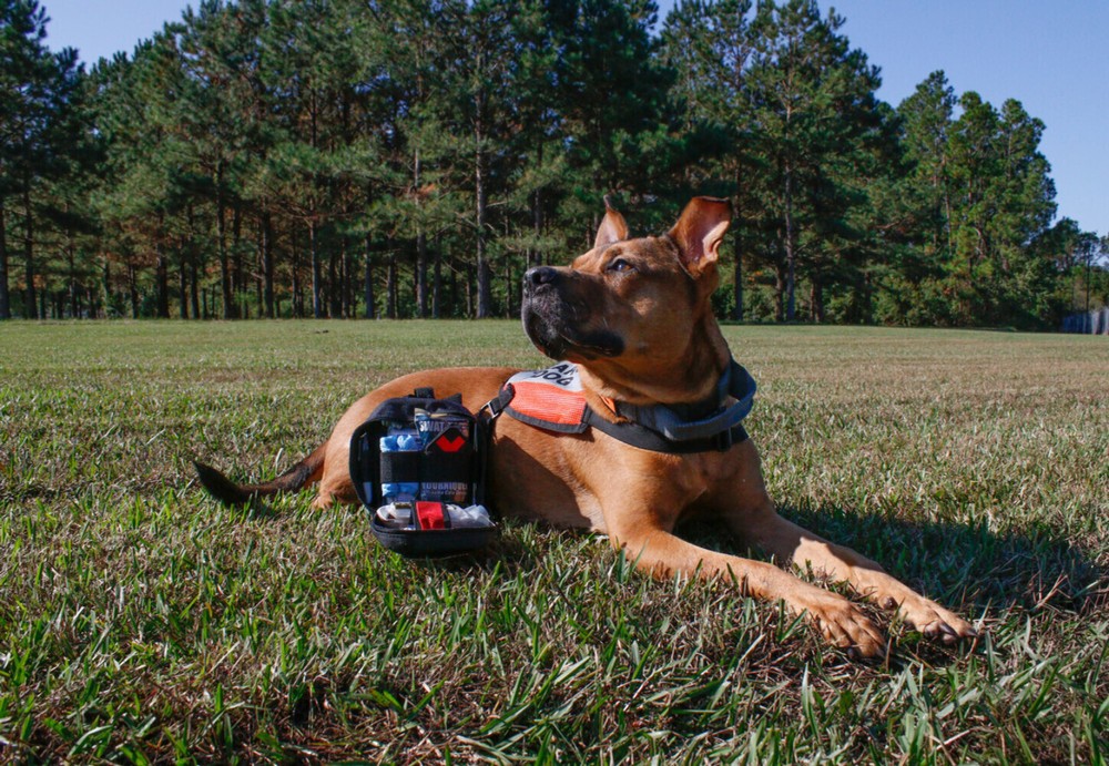 K9 IFAK