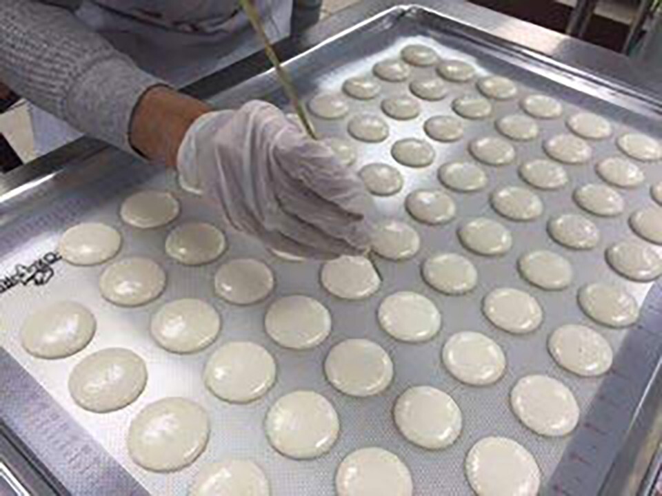 French Macarons Gift Box of 12 - Vanilla