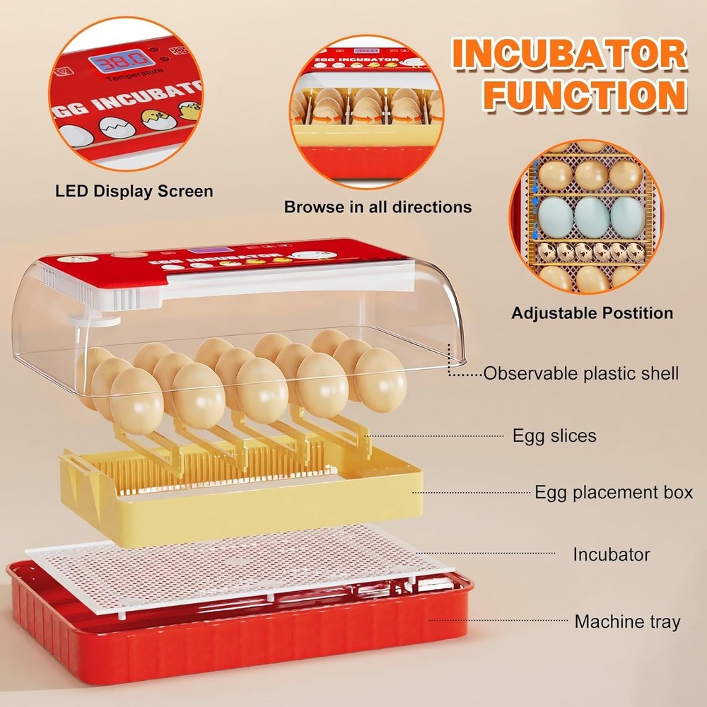 15-35 Eggs Incubator with Automatic Egg Turning and ℉Temperature Display LED Can
