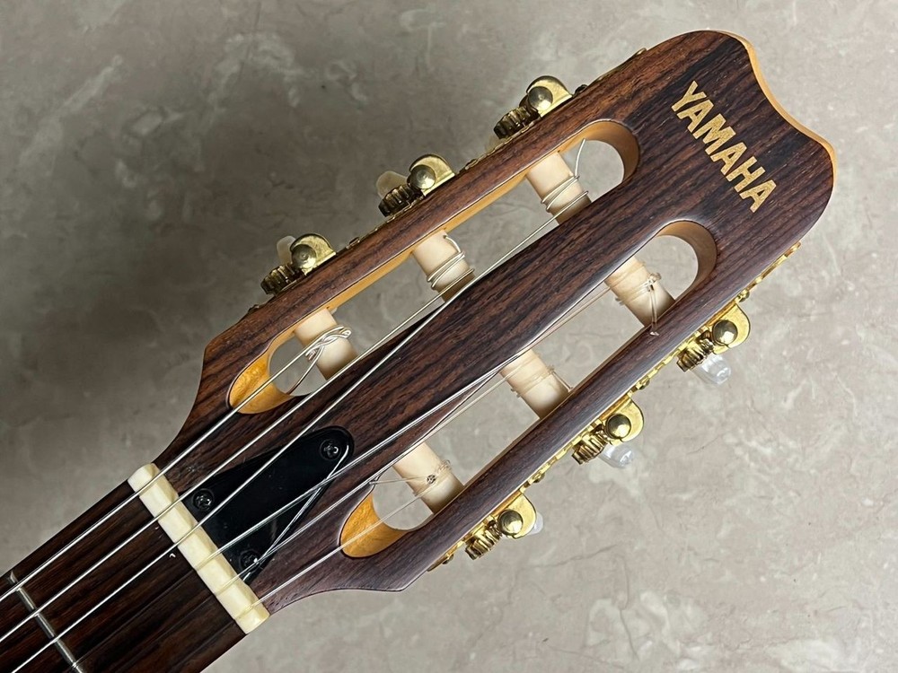 YAMAHA AEX500NS