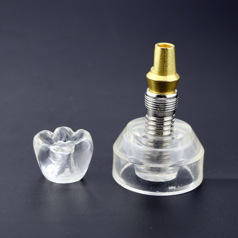 Dental Implant DemonstrationTeeth Study Teach Crown Model Acrylic Teeth Study