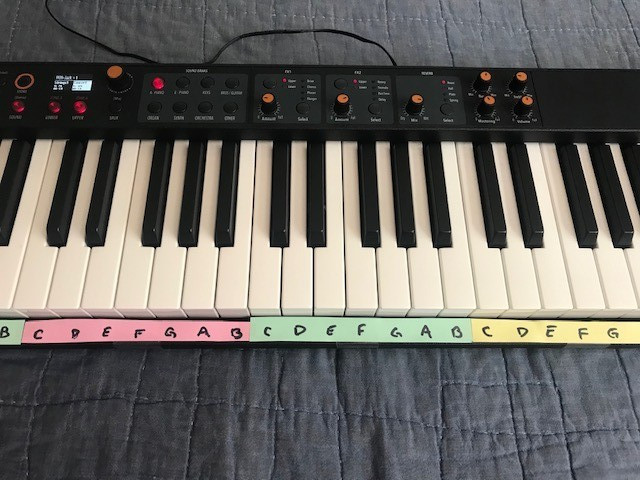 Studio Logic Numa Compact 2X 88 Key - Keyboard Piano