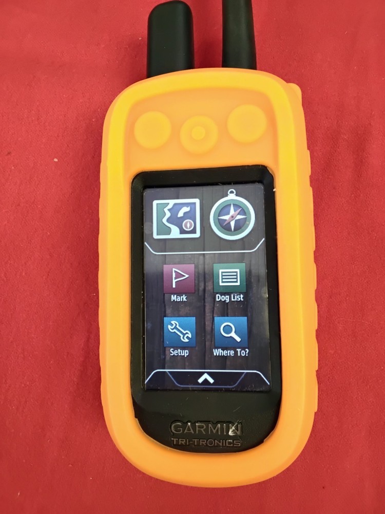 Garmin ALFA 100