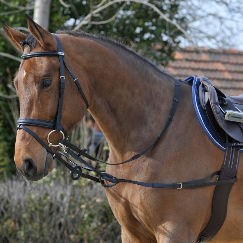 Leather Training Fixed Reins with Rubber Shock Absorbing Ring