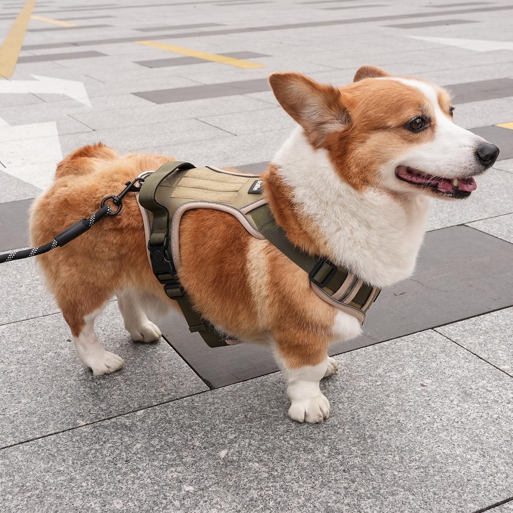 Small Dog Harness, Heavy Duty Tactical No-Pull Reflective Harness & Collar Se...
