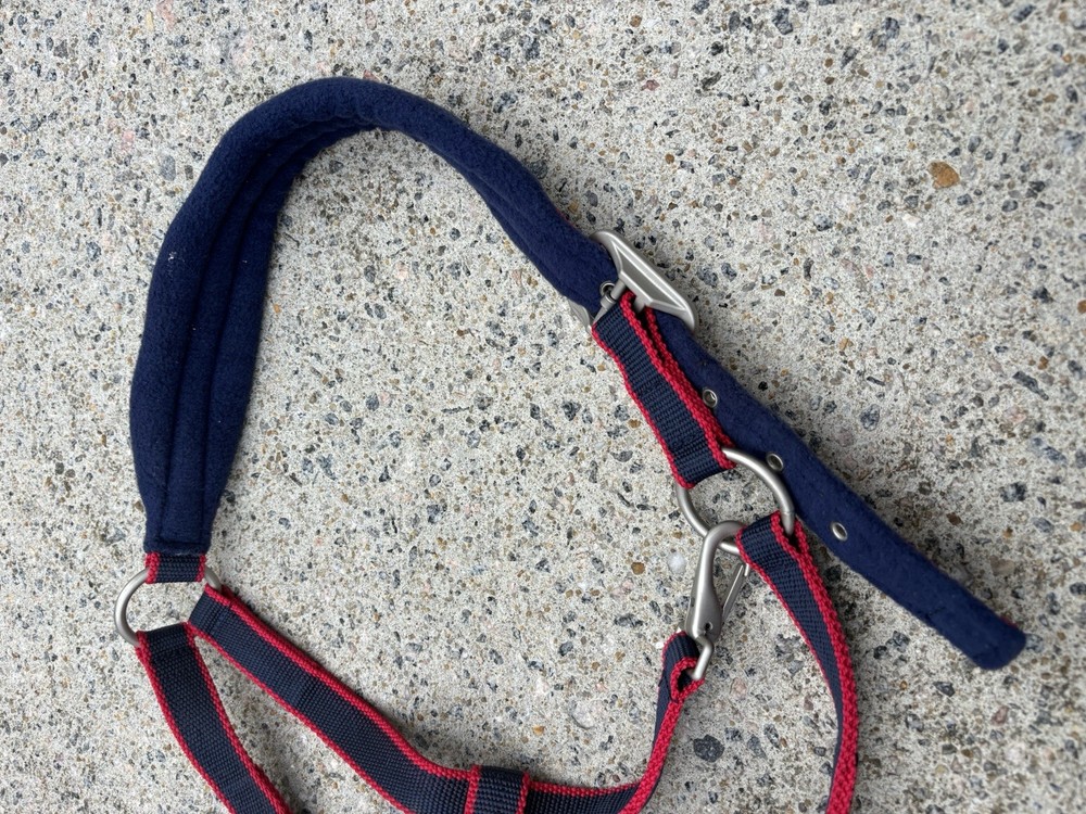 Very Padded Rambo Halter - Size Cob