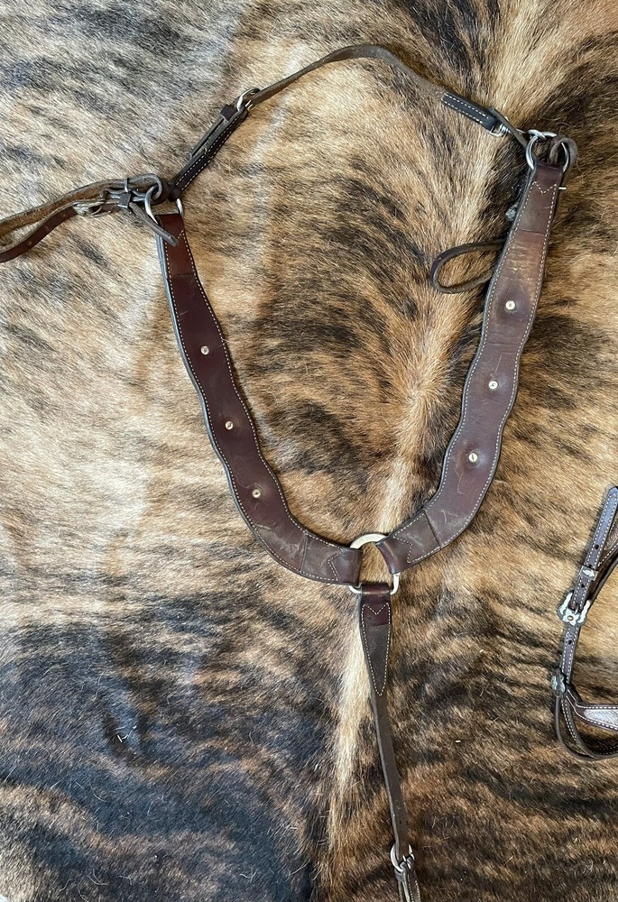 Barrel Racing Tack Set With Greg Darnall Bit