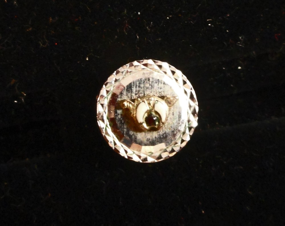 SHRINER TIE TACK : SHRINE LOGO with RUBY & DIAMOND CUT BORDER