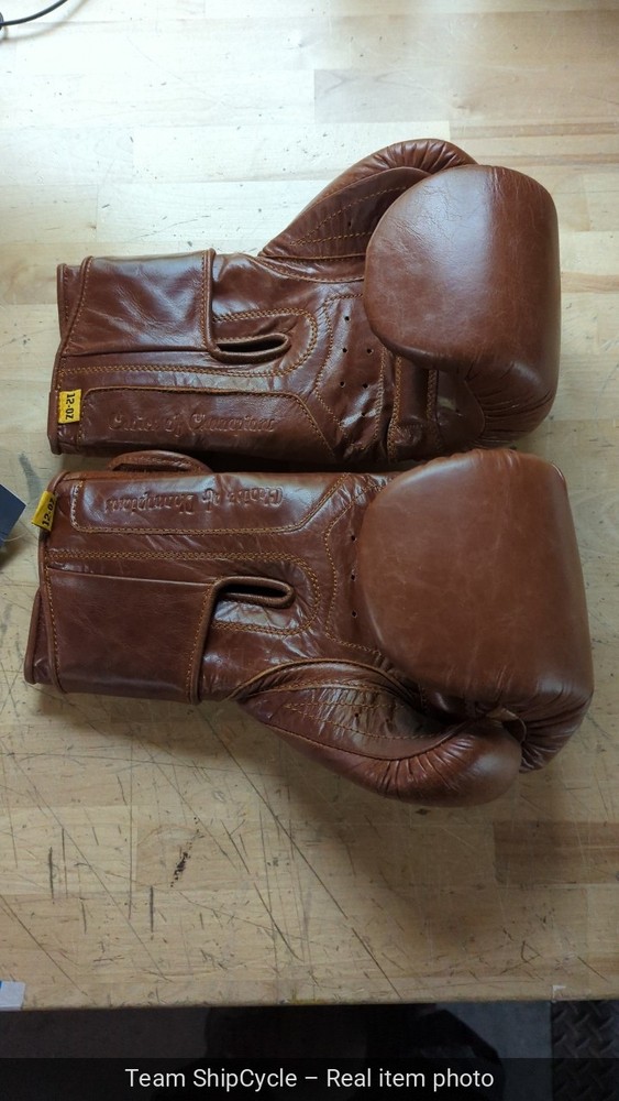 1910 Pro Hook and Loop Boxing Gloves G2U