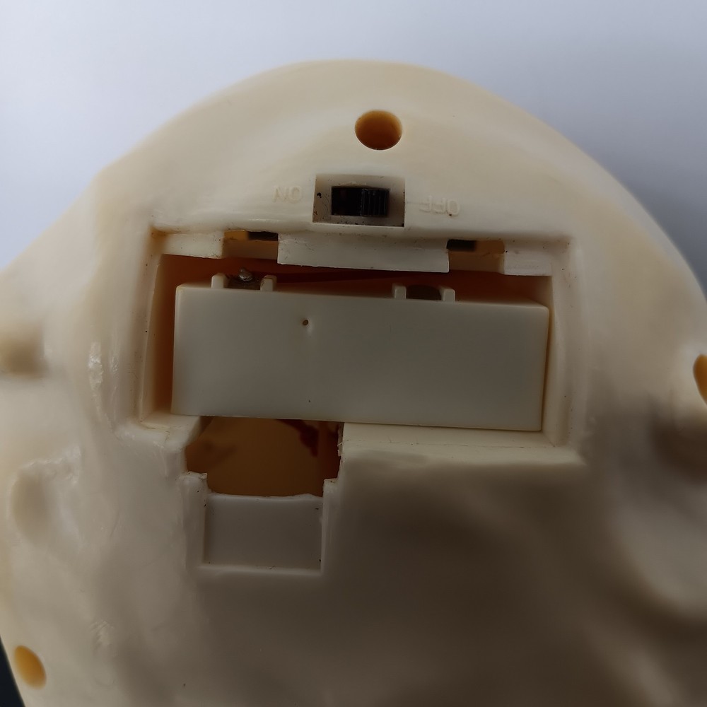 Lighted-Talking Plastic Skull