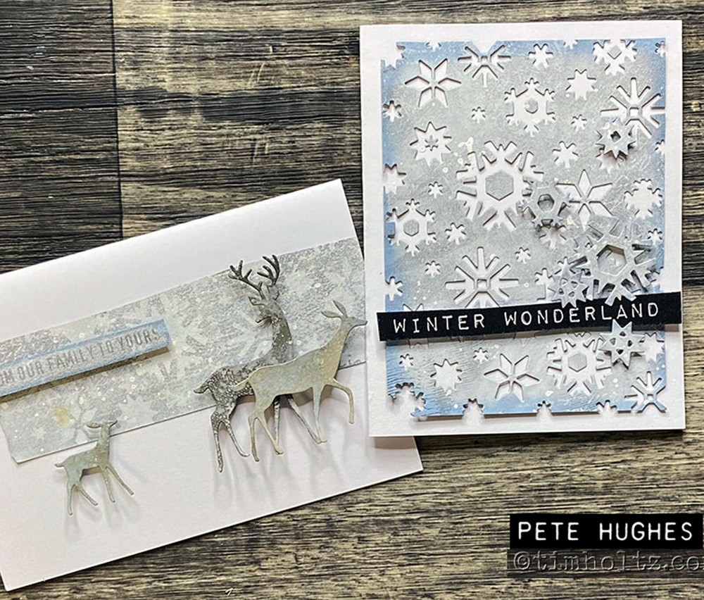 Sizzix Thinlits Artic die #664967 Retail $16.99 designer Tim Holtz