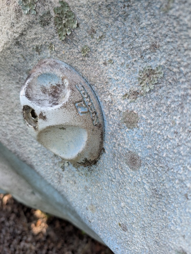 25 Foot Rock Climbing Wall