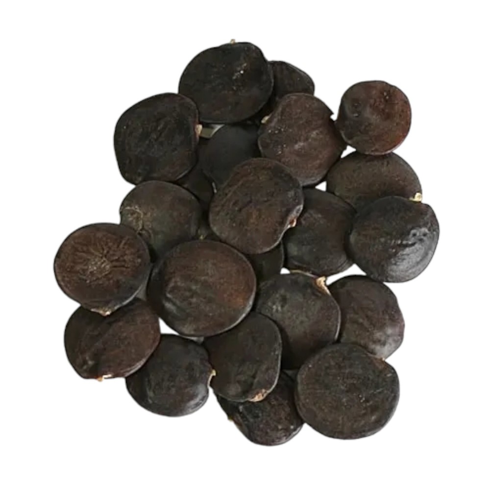 10 Wisteria Flower Seeds