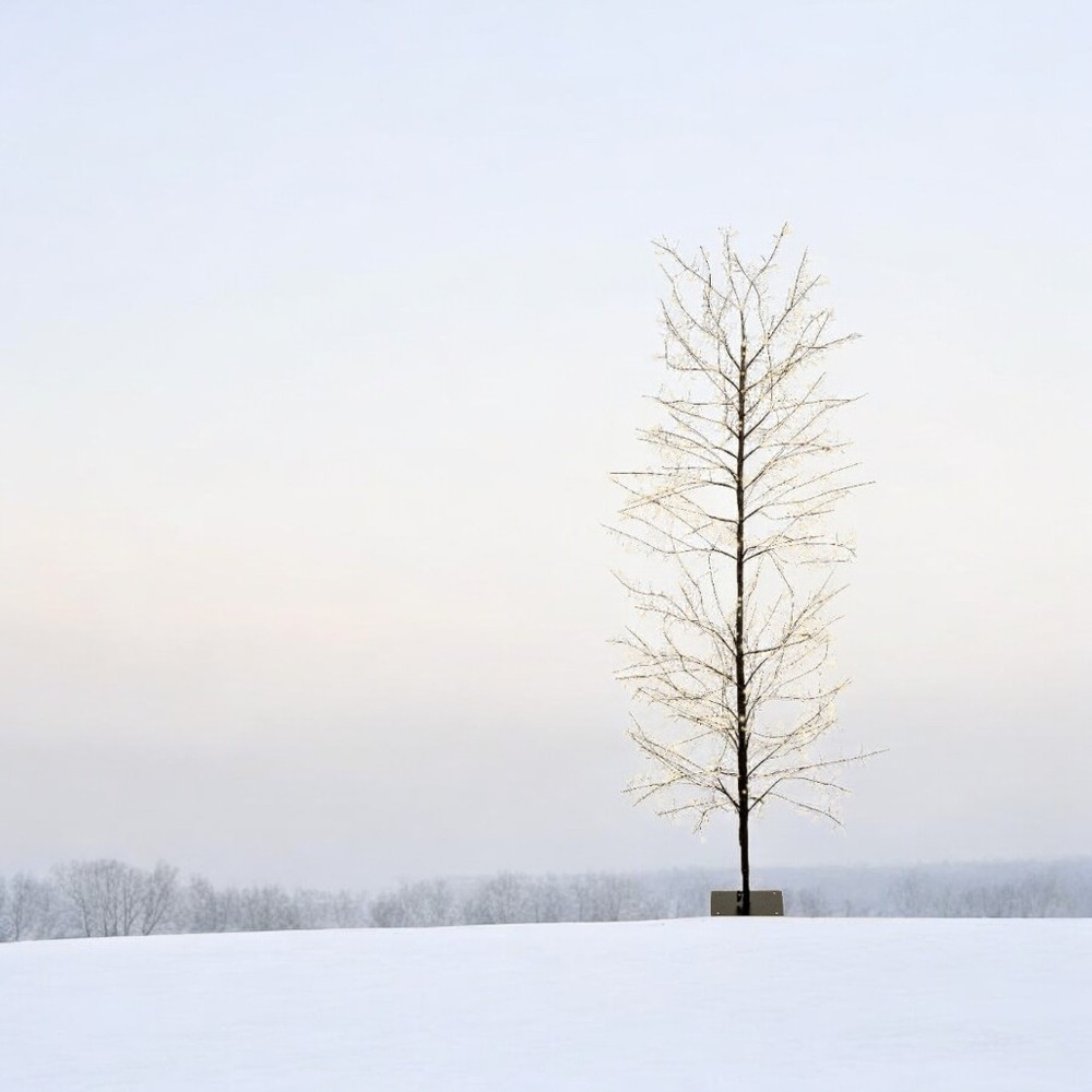 70" MICRO 1755LT BLACK TREE WARM WHITE 24