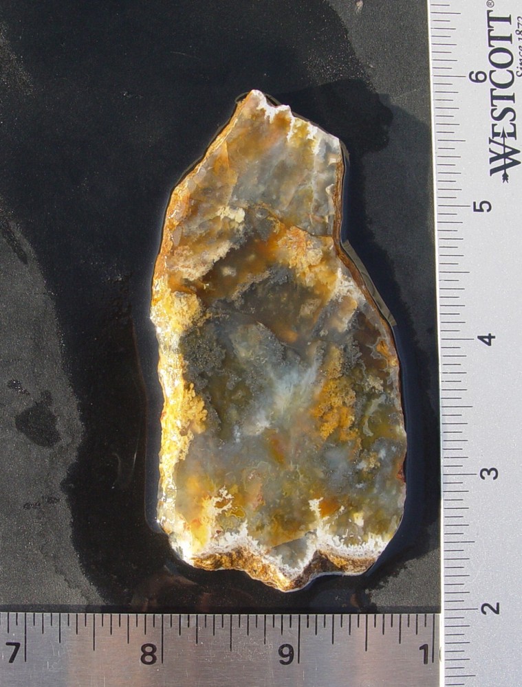 Graveyard Point Plume Agate Lapidary Slab 1210